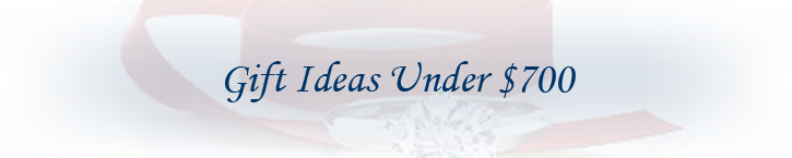 Gift Ideas Under $300